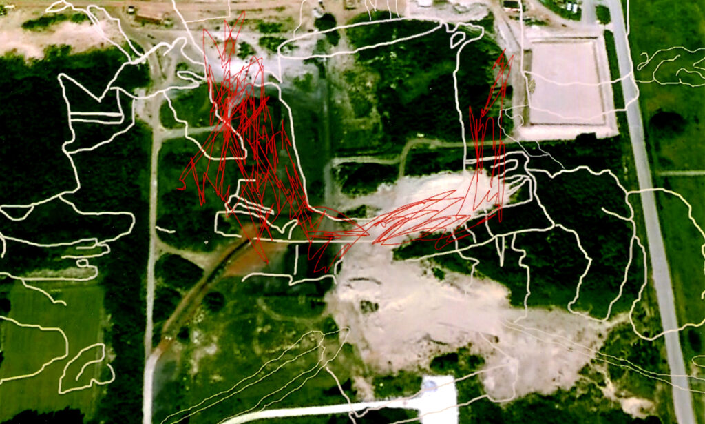 Calais - Anna Guilló